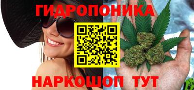 ГАЛЛЮЦИНОГЕННЫЕ ГРИБЫ Изобильный