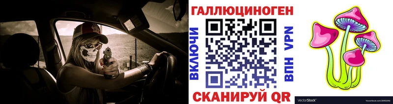 блэк спрут как войти  Орск  Псилоцибиновые грибы прущие грибы 