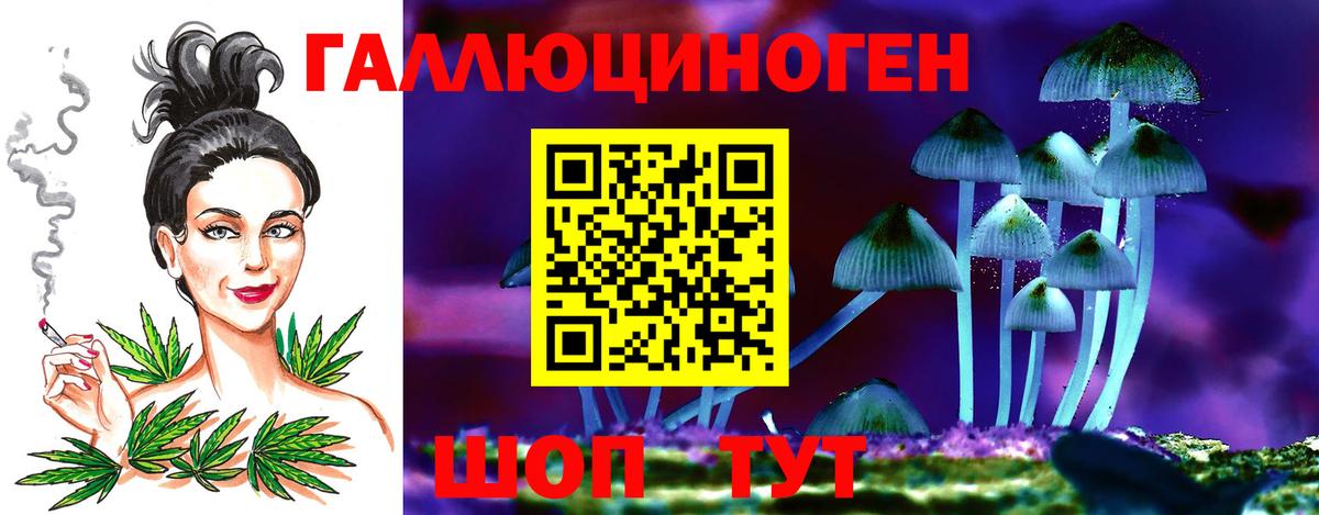 Орск  Галлюциногенные грибы Psilocybine cubensis  Вход с VPN 